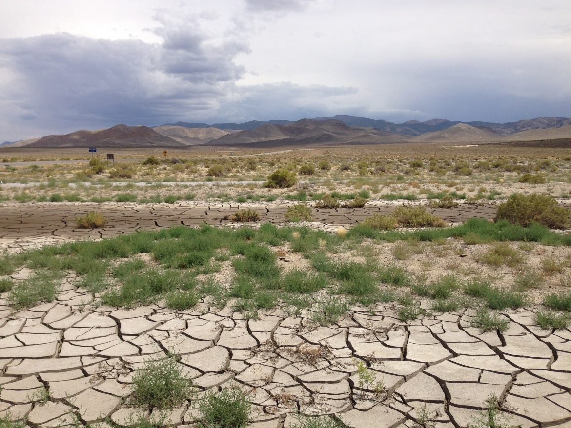 dry