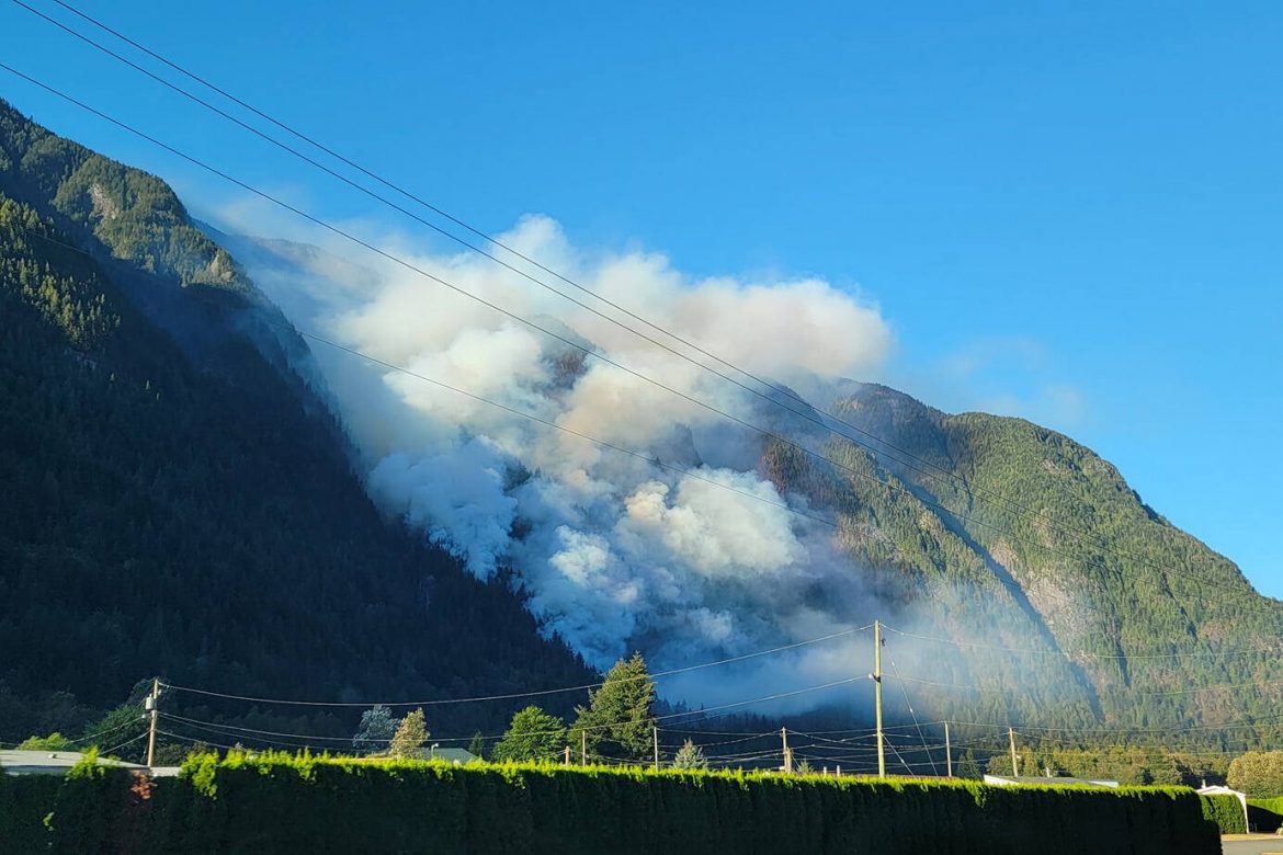 Wildfire