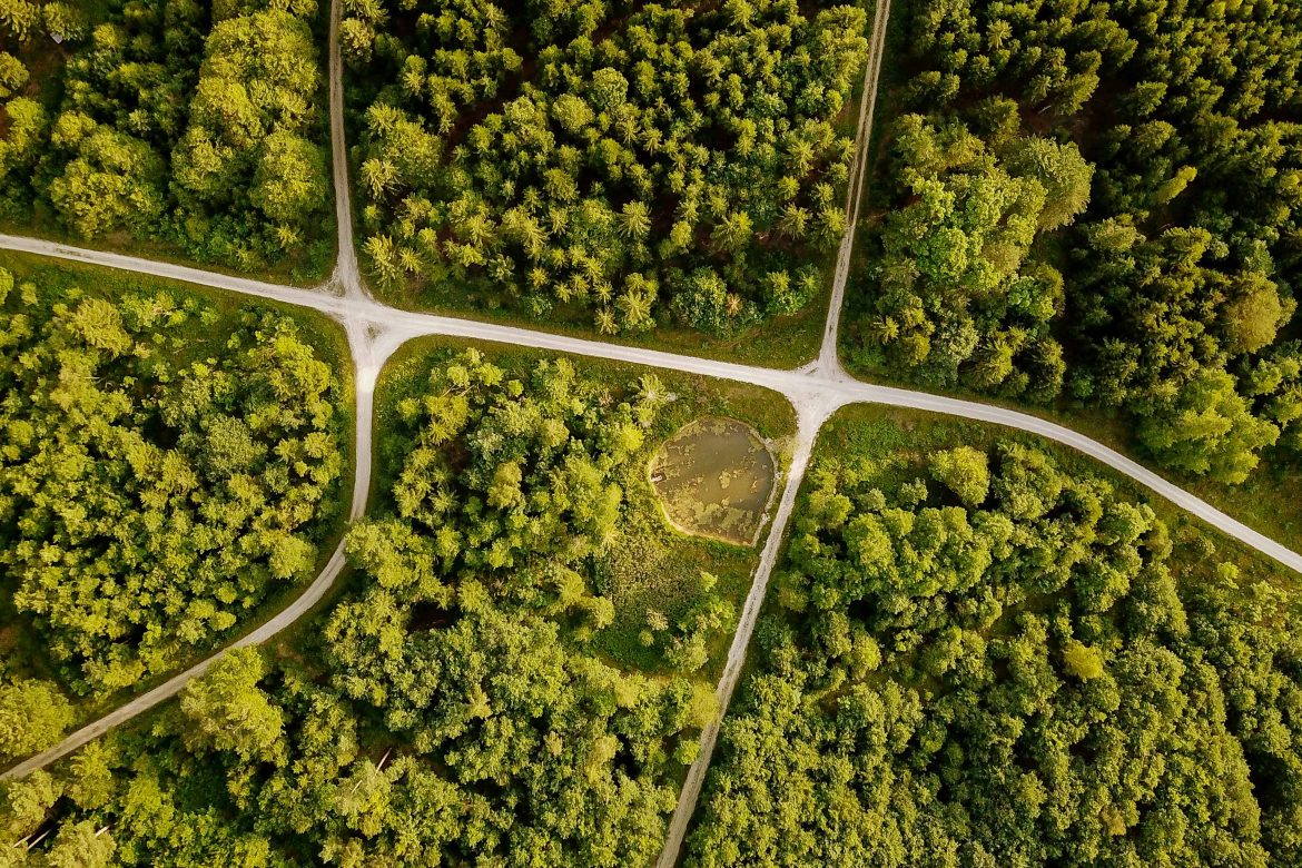 High angle view of paths running throught a forest