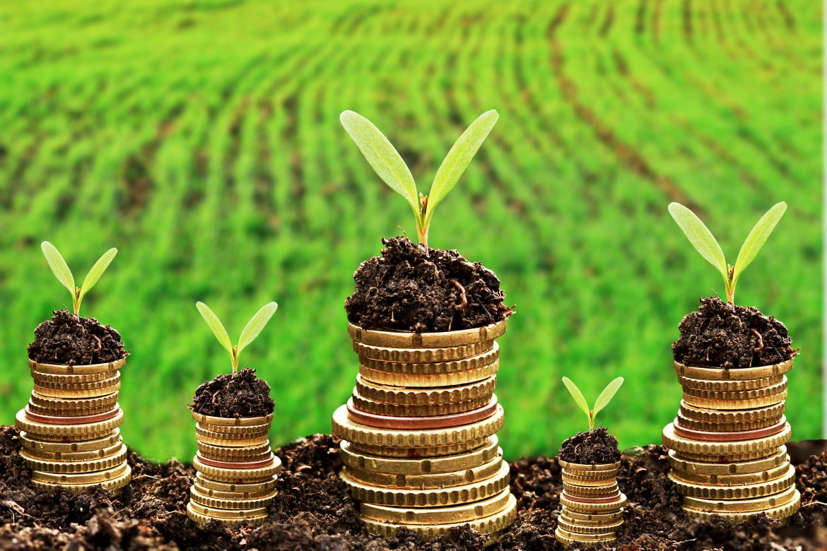 green-investment2