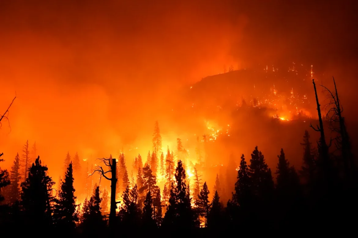 fires