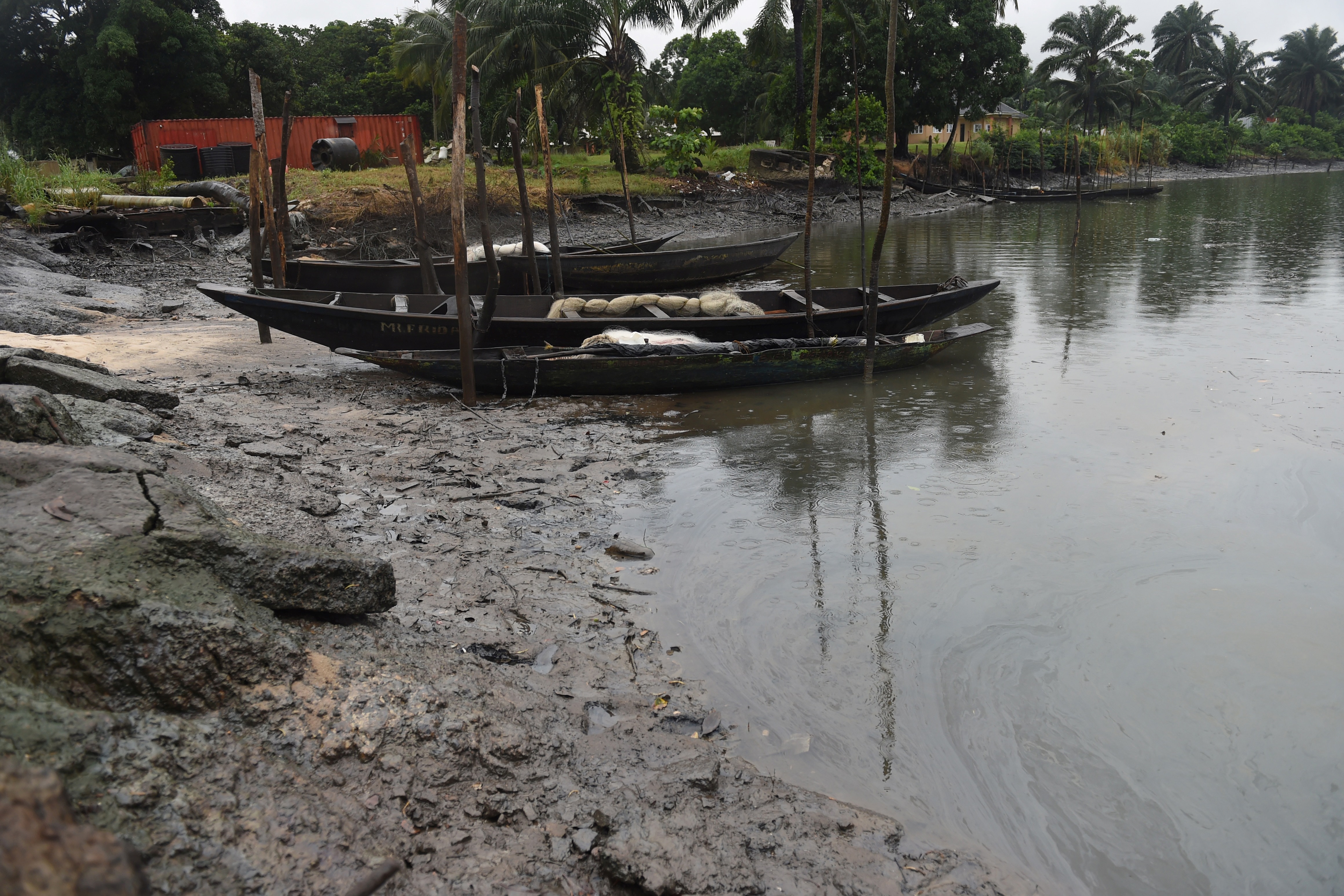 Oil-bearing communities protest pollution in Delta Image