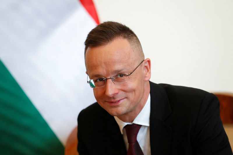 Hungarian foreign minister, Russian premier hold energy talks Image