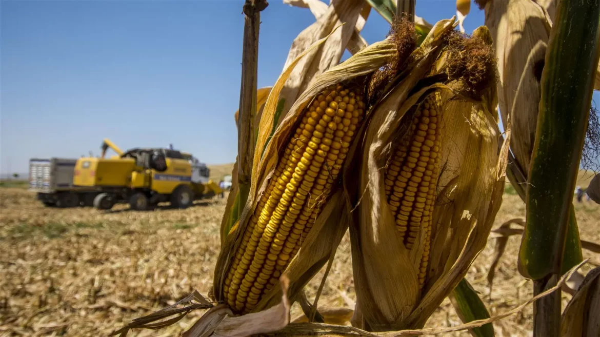 Europe-farms-climate-change-scaled