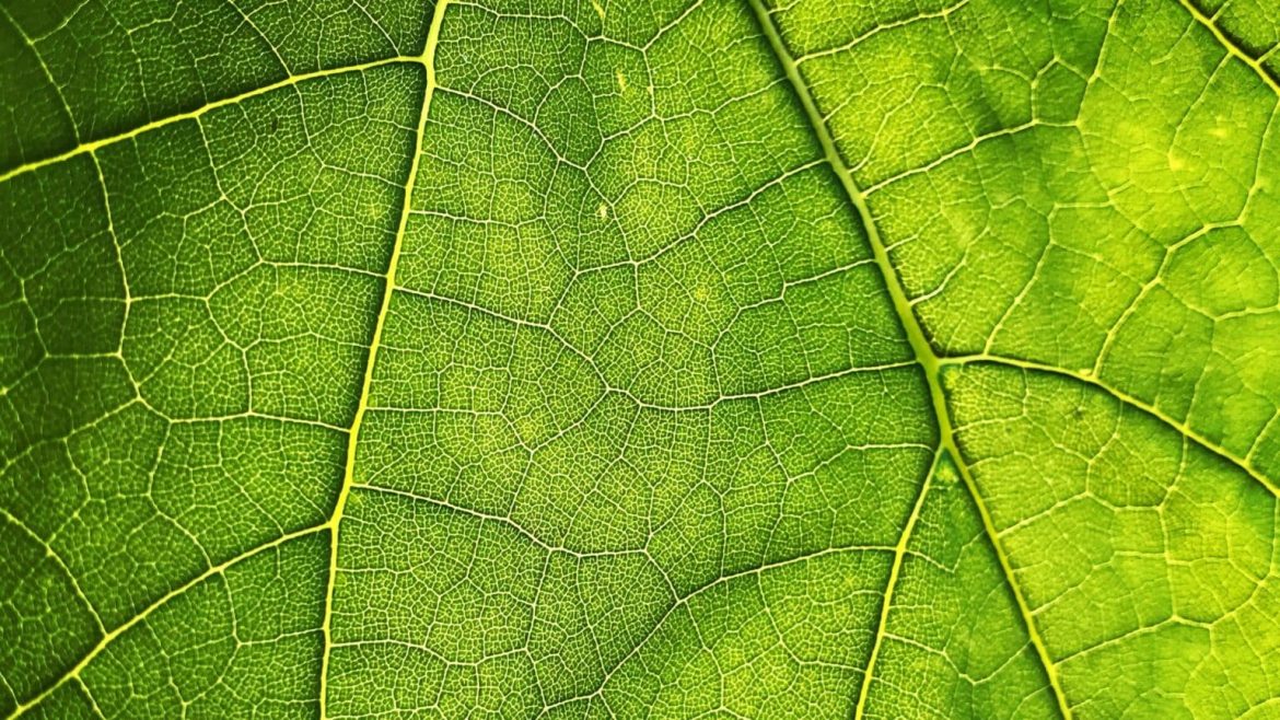 maros-misove-HGNtPpNQBcI-unsplash-1536×864