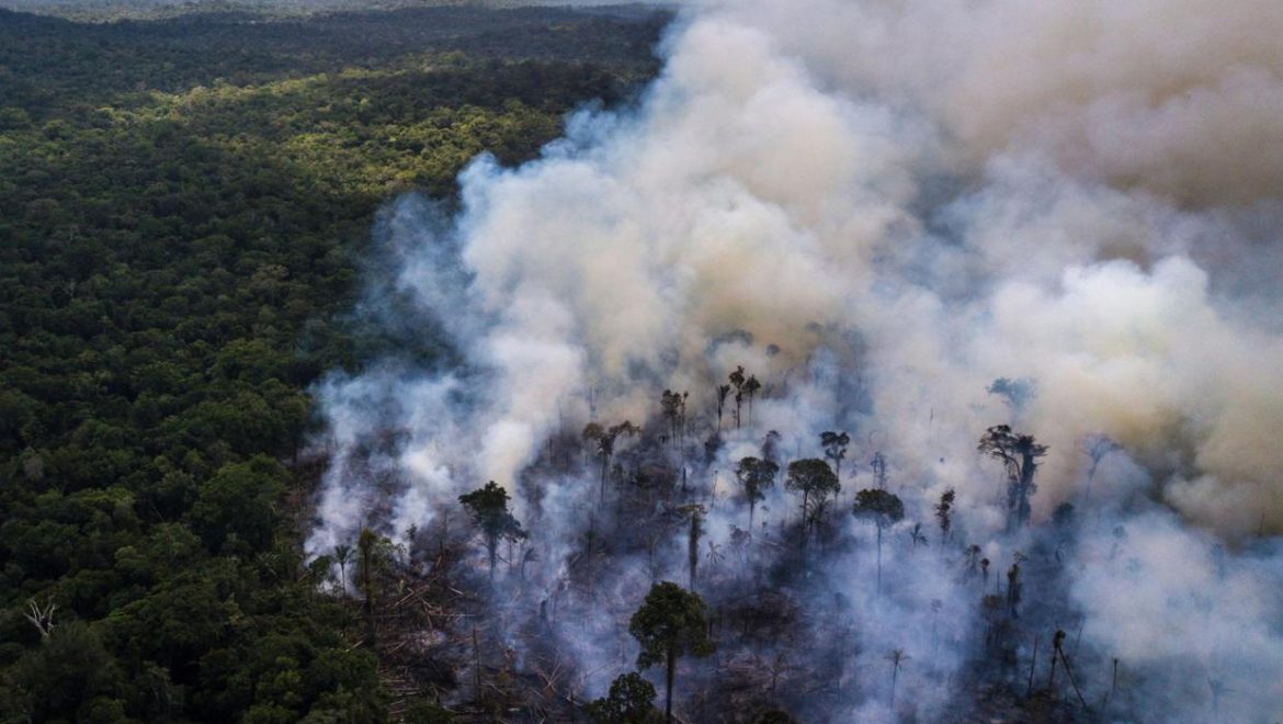 AMAZONAS BRAZIL