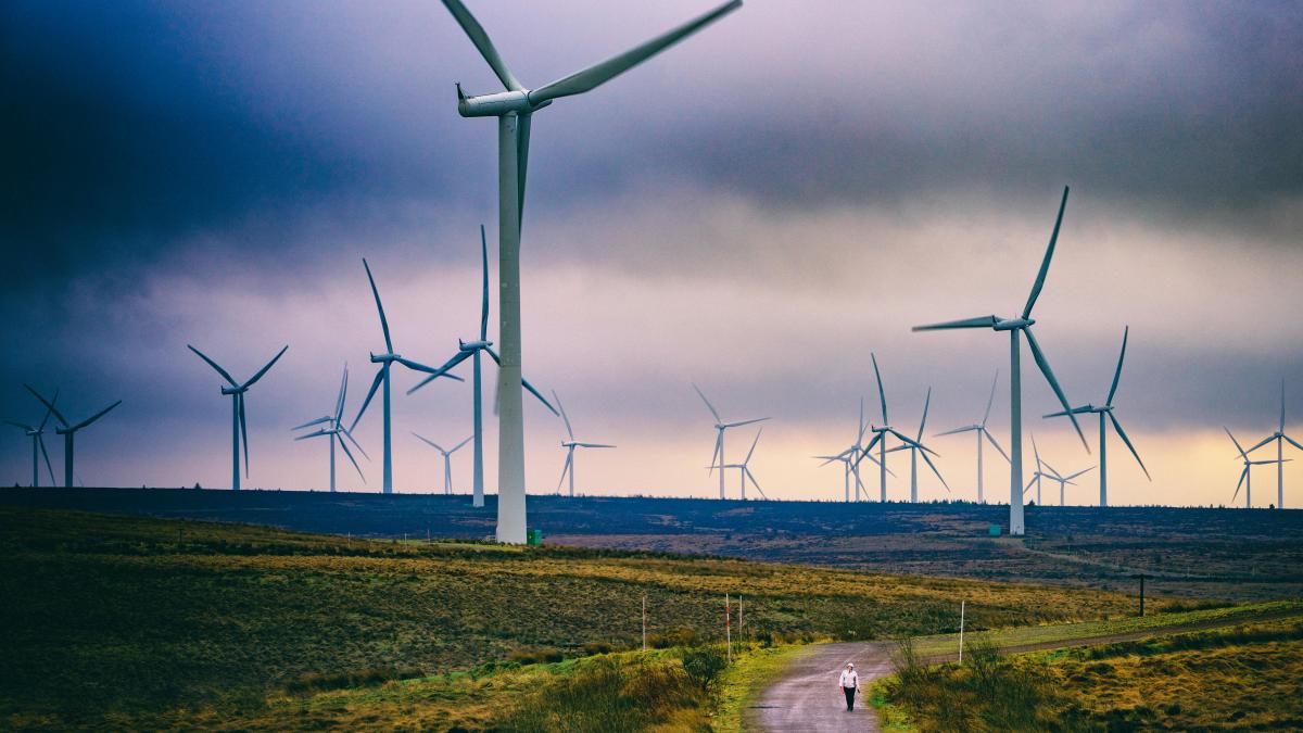 Report: Ukraine built more onshore wind turbines in past year than England Image