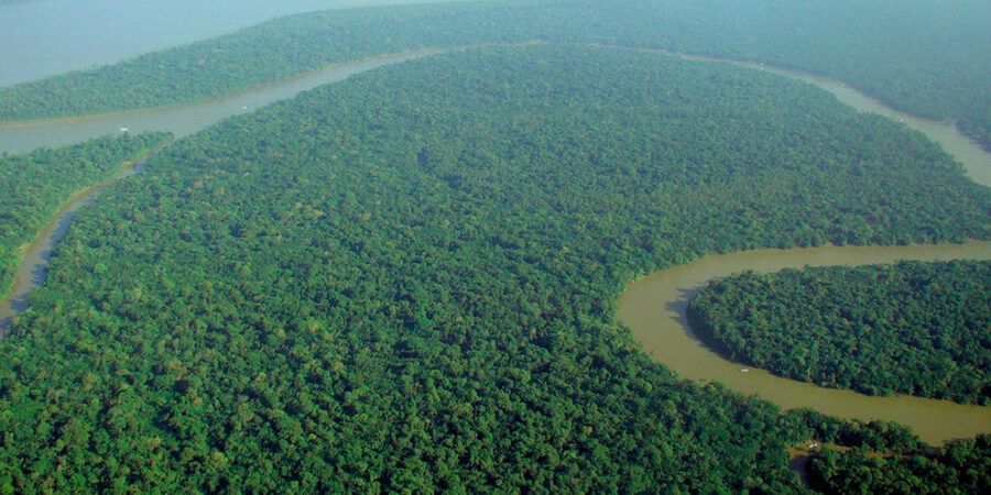 Ex-police chief warns Brazilian Amazon at risk of being taken over by mafia Image