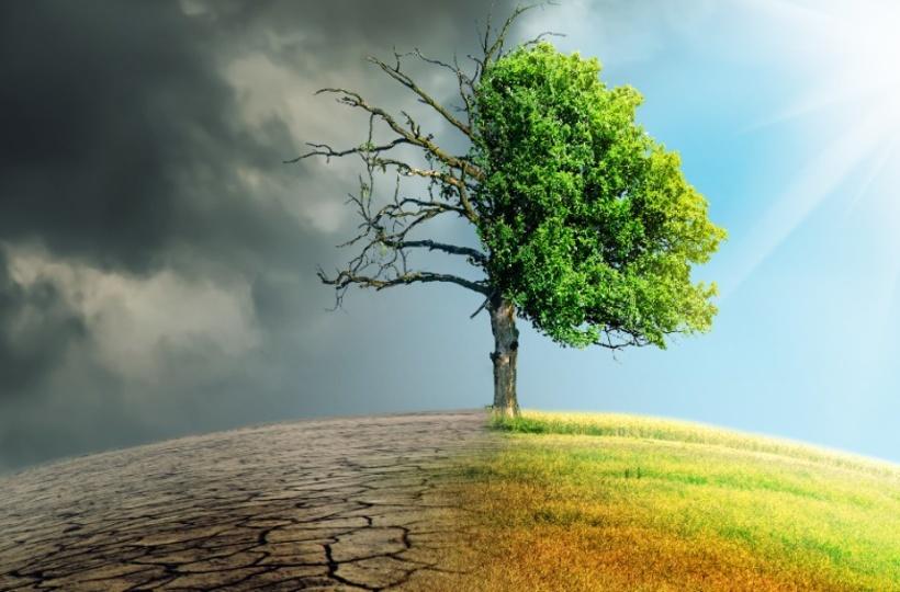 China’s World Bank’ to triple climate change lending by 2030 Image