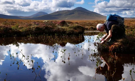 Northern Scotland’s Flow Country becomes world heritage site Image