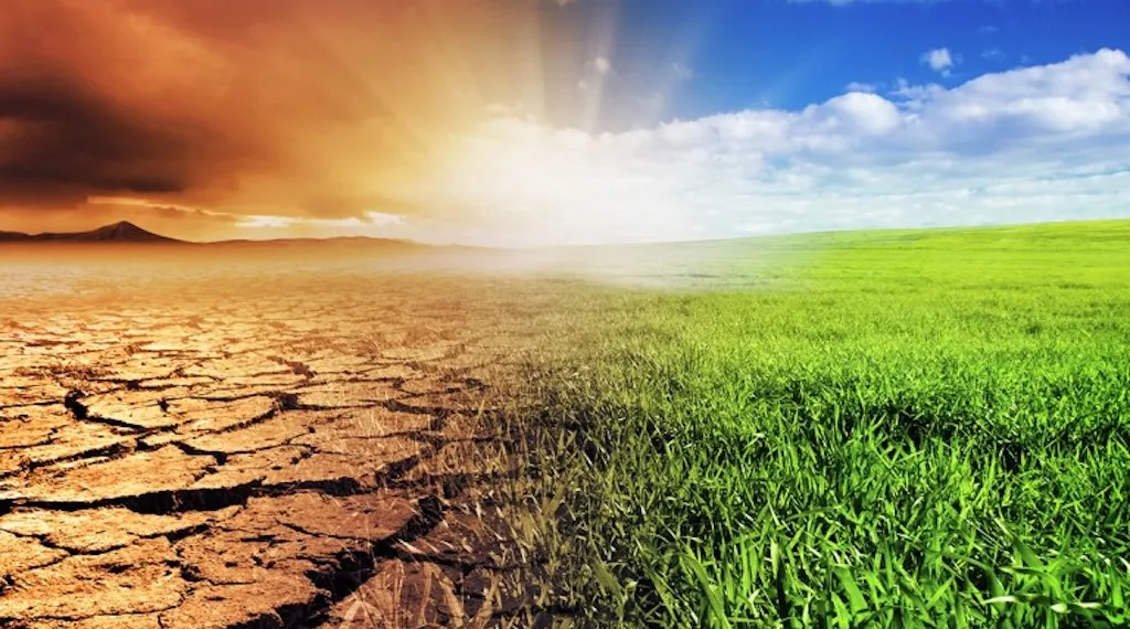 NLC seeks inclusion in policy formulation on climate change Image