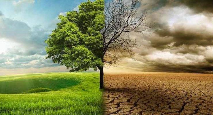 Centre engages PWDs on disability-inclusive climate change policy review Image