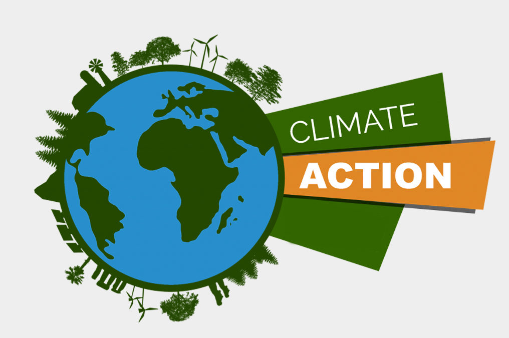 Eastern Caribbean youth call for co-leadership in climate action Image