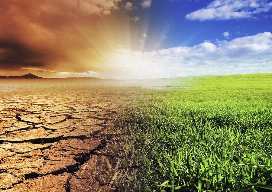 Nigeria to host global workshop on climate change Image