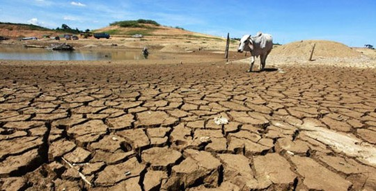 NGO wants govt to tackle climate change-driven conflicts Image