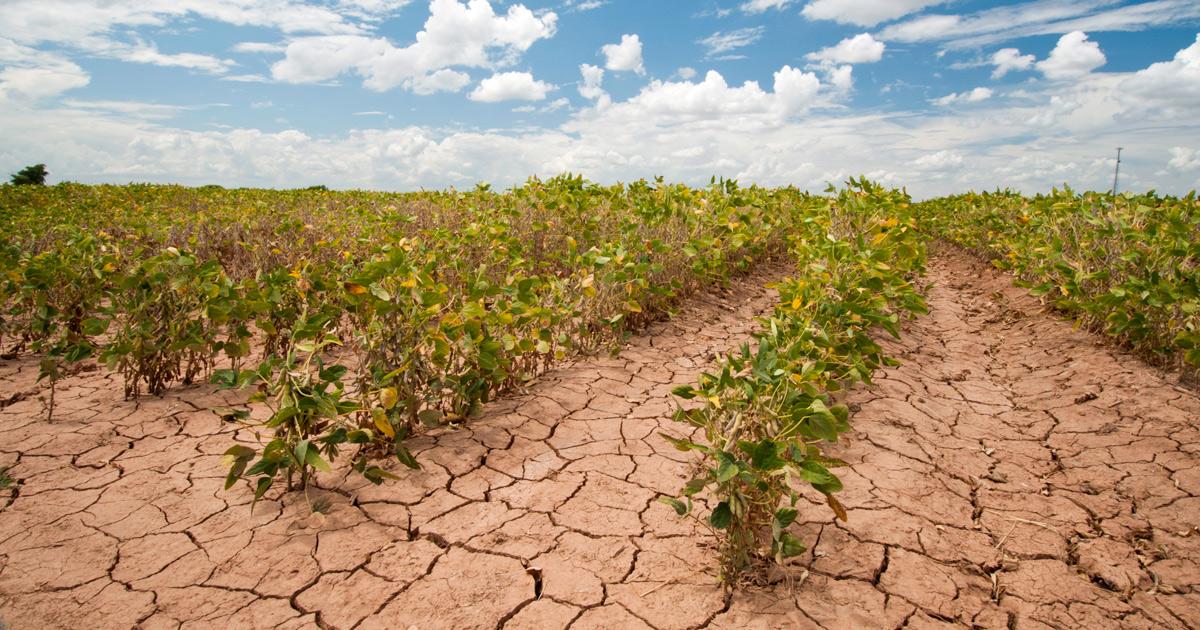 Jigawa holds first summit on agriculture, climate change Image