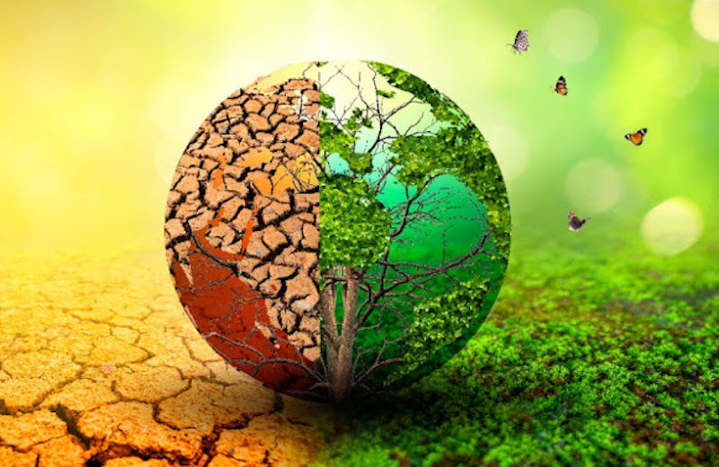 Climate Change: Heavy surge wipes out six Lagos communities Image