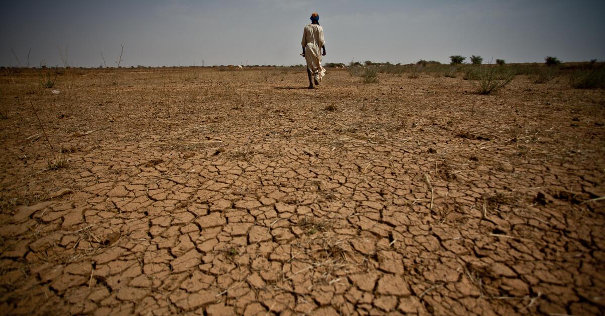 Weather expert warns climate change to hit agriculture hardest Image
