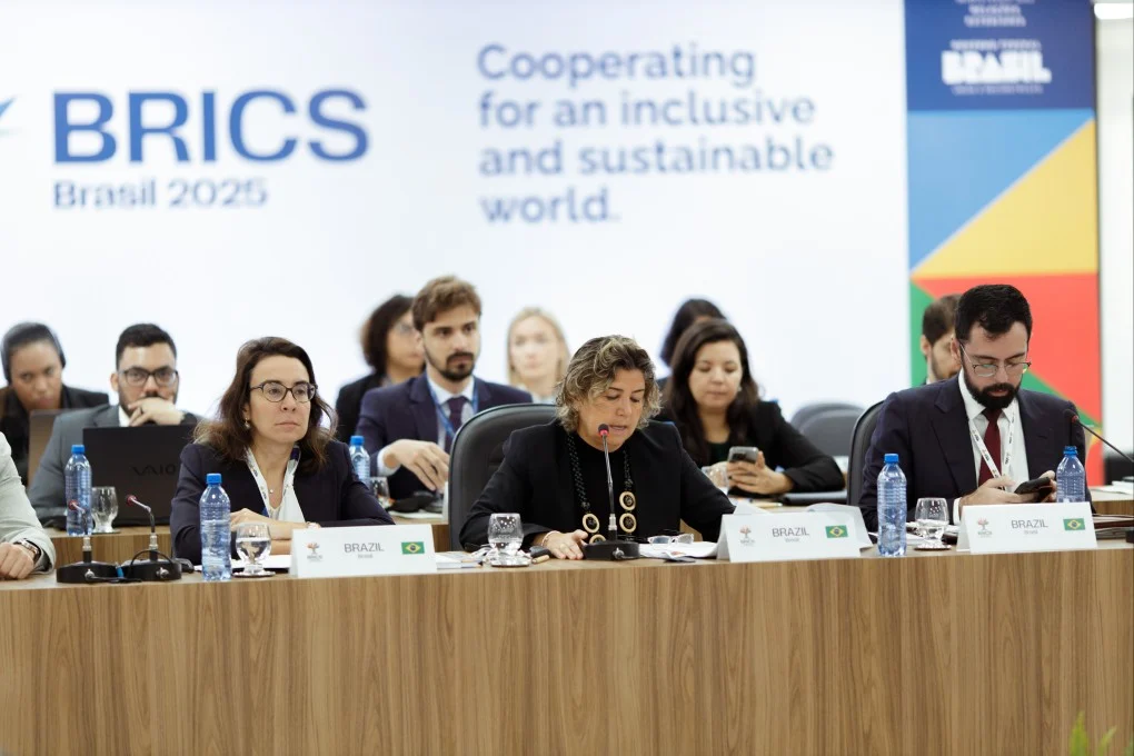BRICS countries develop shared position on climate finance Image