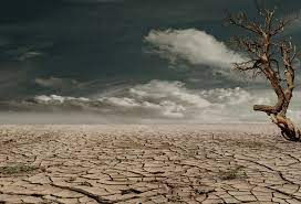 Nigeria rules out nuclear weapons pursuit, says focus on addressing climate change Image