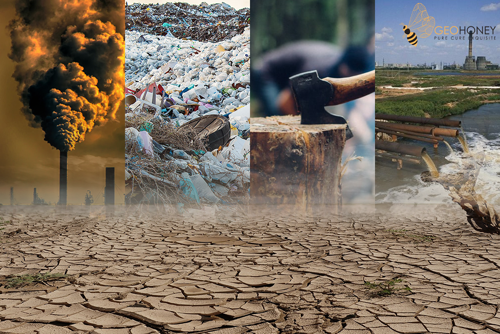Climate Change – Reasons Which Show Humans Cause It