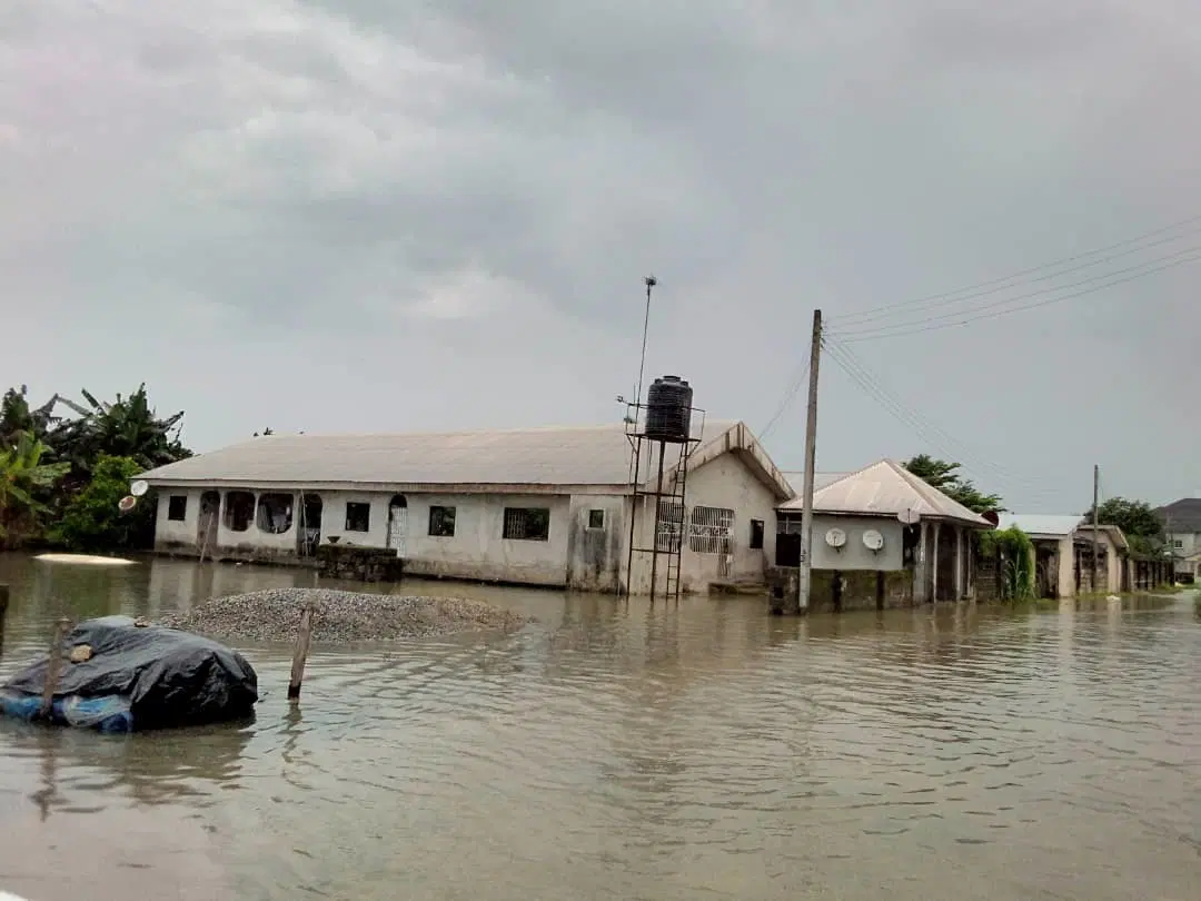 NDDC, others push for climate change awareness in N’Delta Image