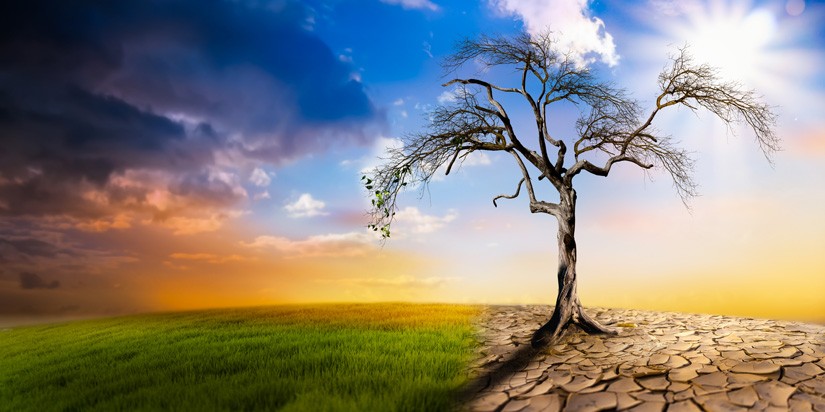 Lagos to Host 2025 International Climate Change Summit Image