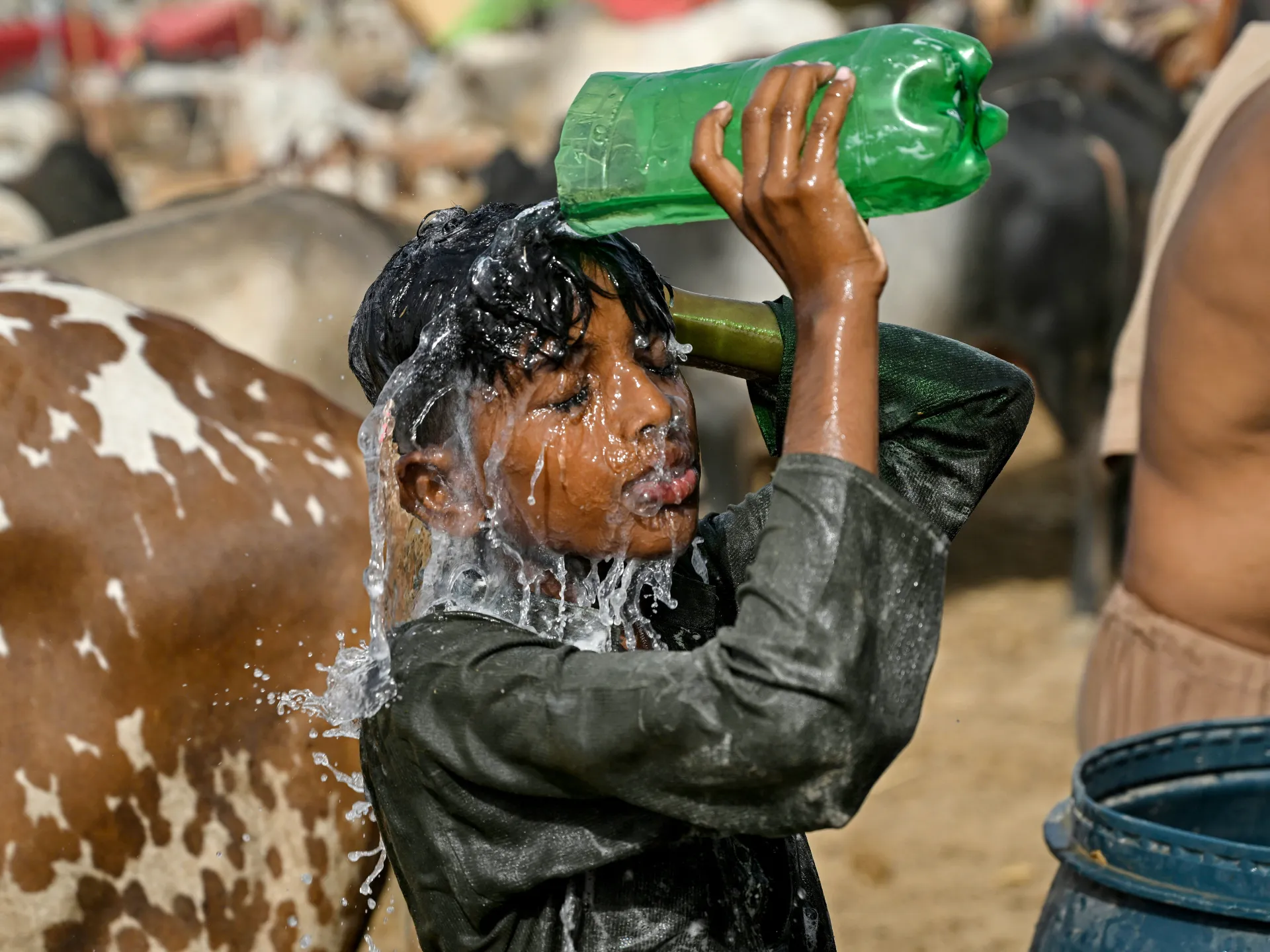 New study shows overheating world will add 57 superhot days a year Image