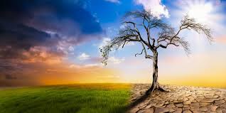 NAICOM speaks on impact of climate change Image