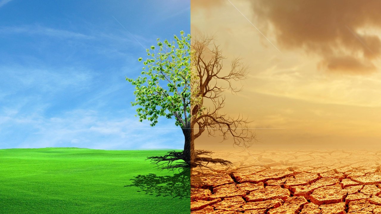 Stakeholders seek integration of climate change into national curricula Image