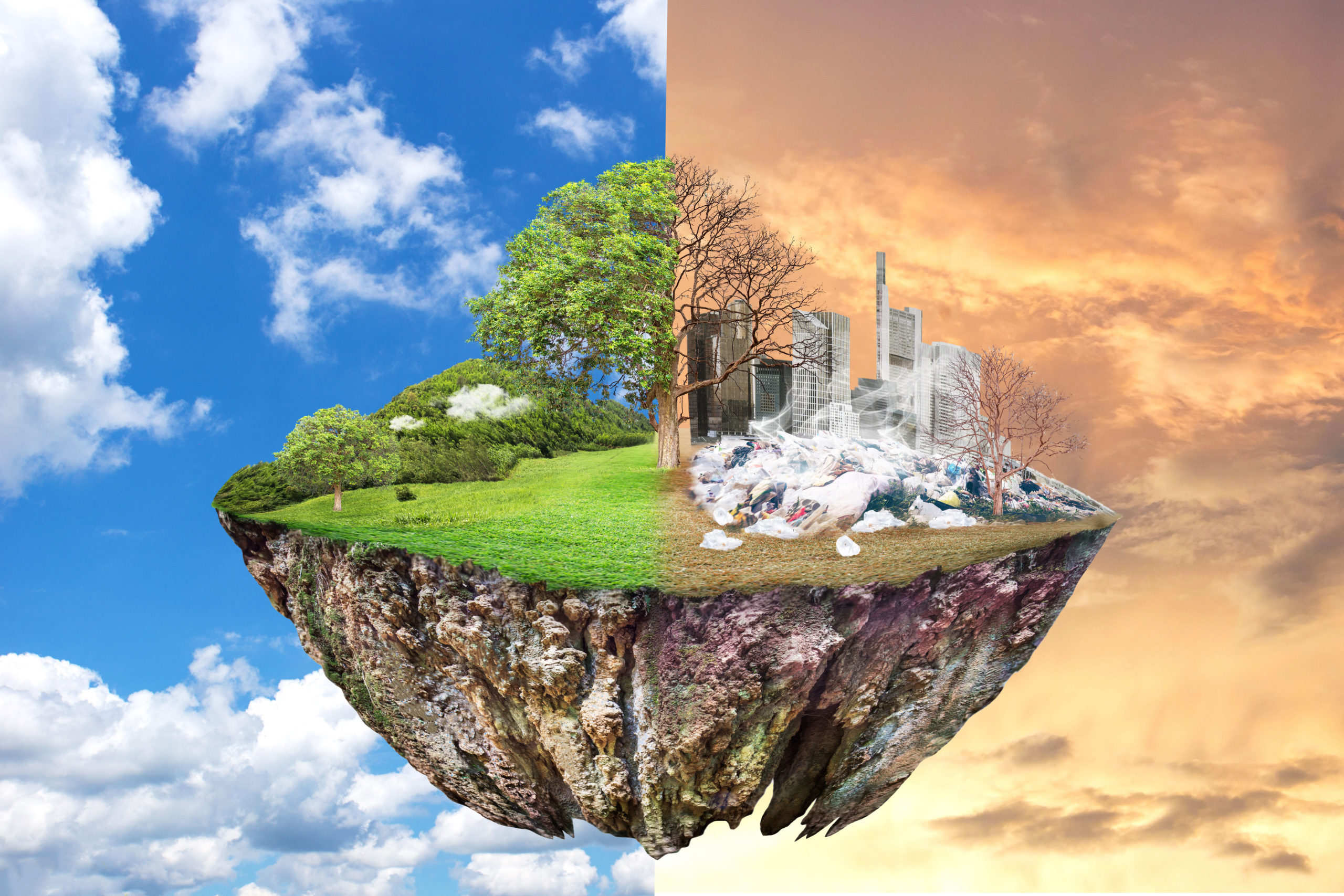 Climate change: Nigeria, development partners launch Net Zero Nature Positive project Image