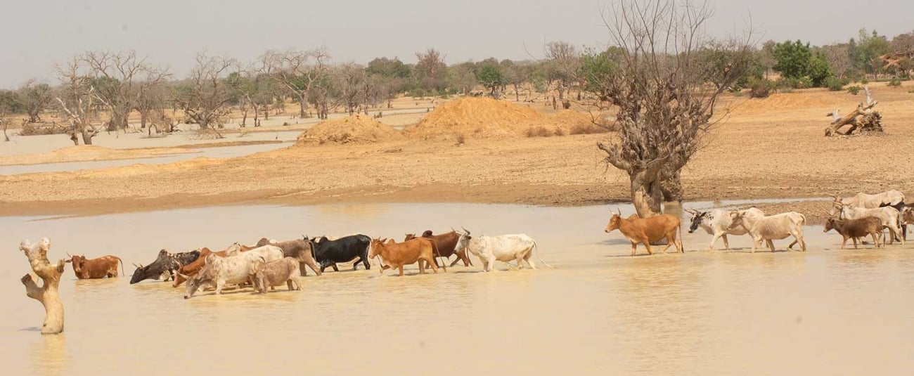 ADF grants $9 million to strengthen climate resilience in the Sahel Image