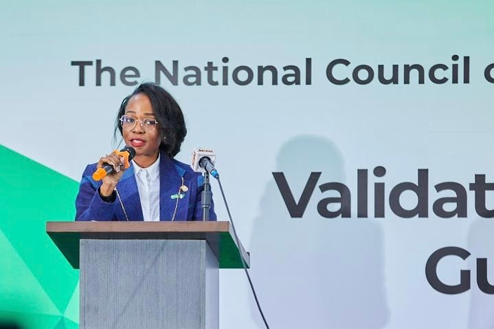 NCCC DG says Nigeria to turn climate pledges into actionable projects at COP30 Image