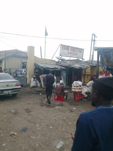 Fortune Charms Craze Threatens Vulture Population in Kano Image