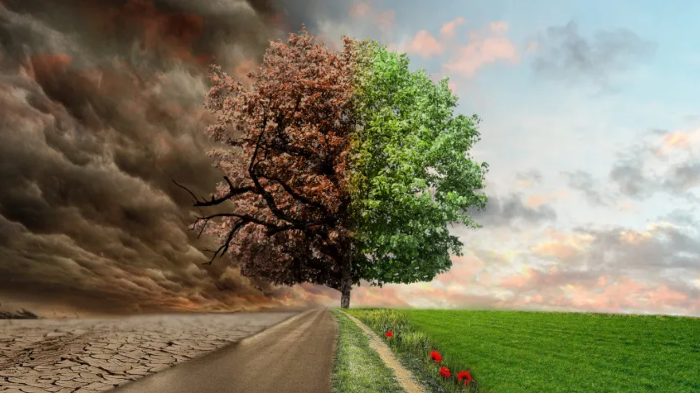 Government validates national adaptation plan to address climate change Image